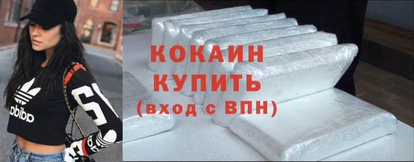 прущие грибы Россошь