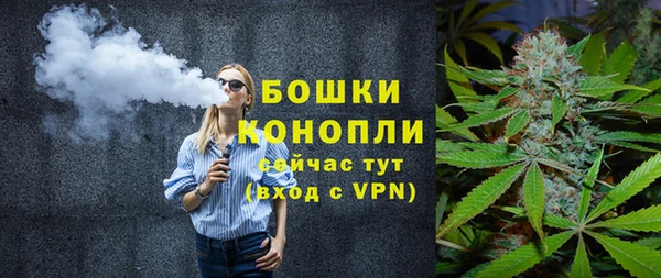 прущие грибы Россошь