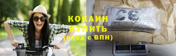 прущие грибы Россошь