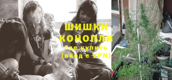 прущие грибы Россошь