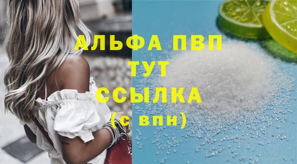 прущие грибы Россошь