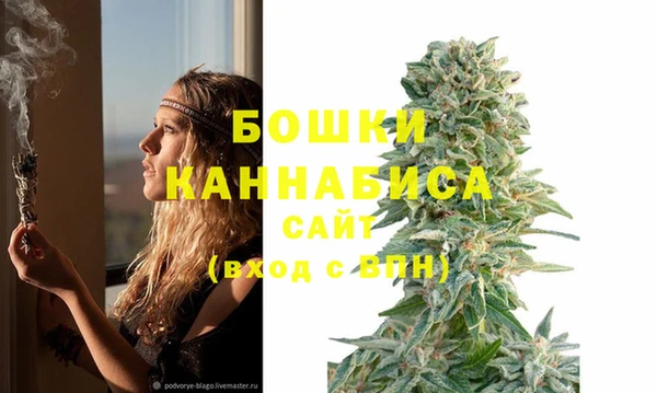 прущие грибы Россошь