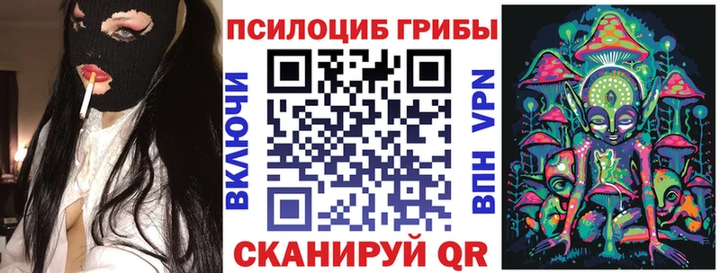 Галлюциногенные грибы Psilocybine cubensis Зверево