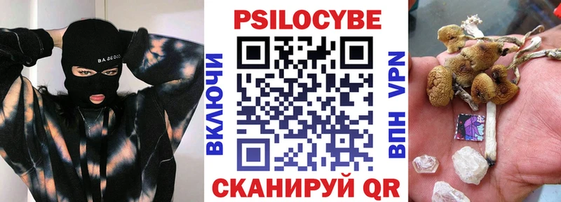 Купить  Зверево  Псилоцибиновые грибы Magic Shrooms 